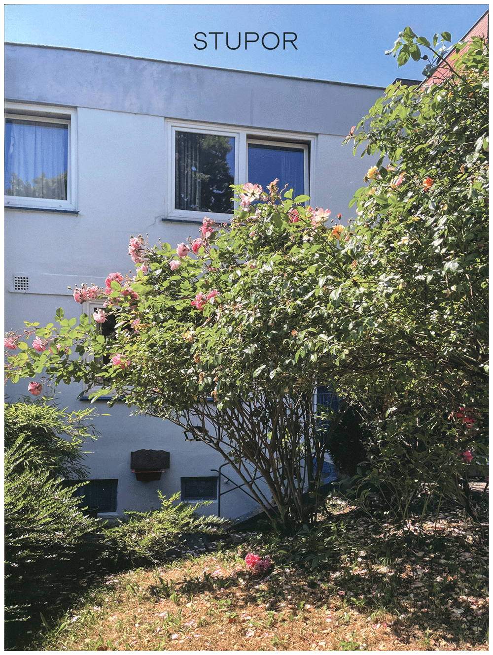 Daniel Richter STUPOR